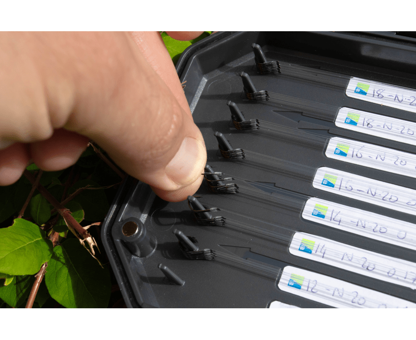 P0220153 quinvaco16 P0220153 quinvaco16