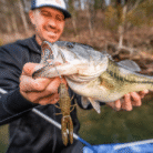 RAPALA-CRUSHCITY-BRONCO-BUG-BLACK-BLUE-FLAKE-QUINVACO3