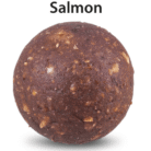 Salmón quinvaco