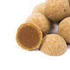 Scopex_Squid_Cultured_hook baits-quinvaco1