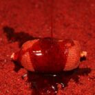 Stick-Mix-Bloody-Mulberry quinvaco2