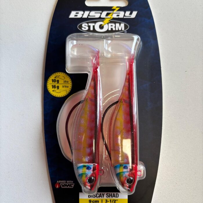 biscay shad 16g rainbow wrasse quinvaco