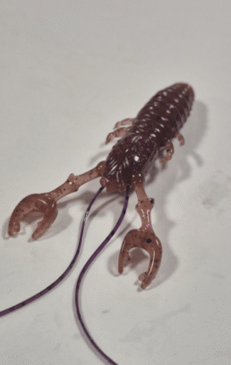 Maramba Craw 3" Cinnamon Purple