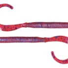 curly tail worm plum quinvaco
