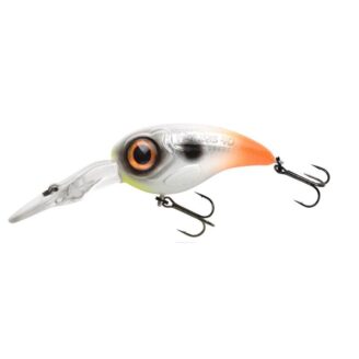 Fat Iris DR Hot Tail