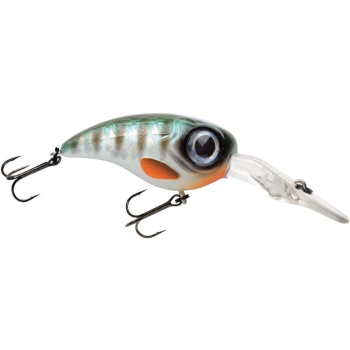 fat iris herring quinvaco-1