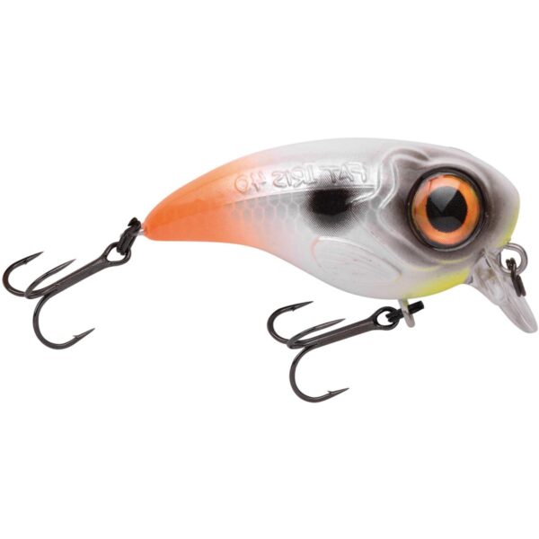 Fat Iris DR Hot Tail