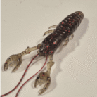 green pumpking red quinvaco