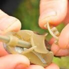 guru-method-feeder-clip-samll-quinvaco-1.1