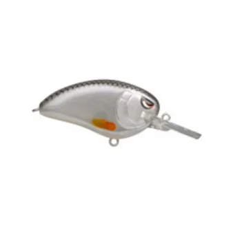 Little John MD 50 Spooky Roach