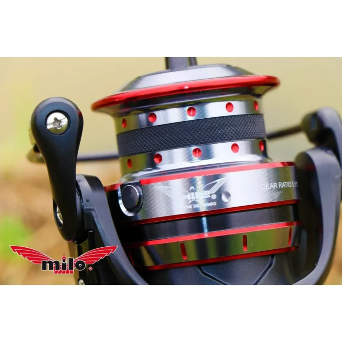 milo-milo-noktor-quinvaco1