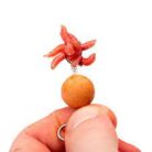 nash-maggot-screw-medium-quinvaco.3