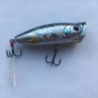 popi-60-c11-quinvaco