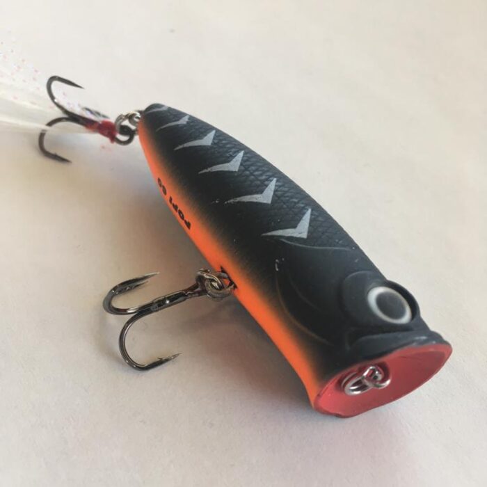 popi-60-cm13-quinvaco1