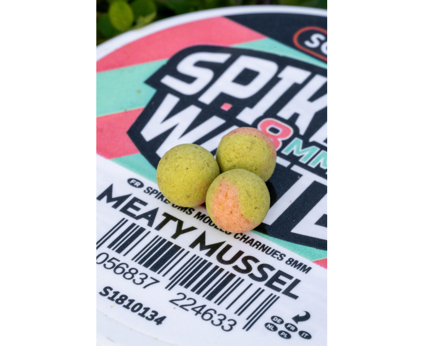 spike-um-wafter-8mm-meaty-mussel-quinvaco4 spike-um-wafter-8mm-meaty-mussel-quinvaco4