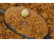 spike-um-wafter-8mm-meaty-mussel-quinvaco9 spike-um-wafter-8mm-meaty-mussel-quinvaco9