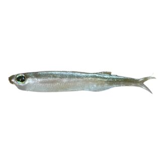 Sakura X-Prat 75 mm Arkansas Shiner