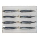 xprat fish pro blue quinvaco